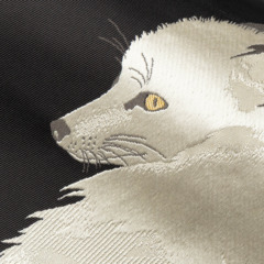 狐